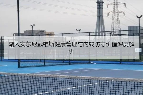 湖人安东尼戴维斯健康管理与内线防守价值深度解析